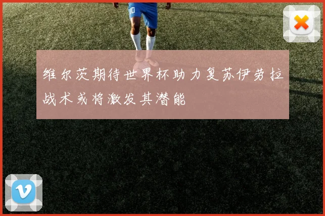 维尔茨期待世界杯助力复苏伊劳拉战术或将激发其潜能