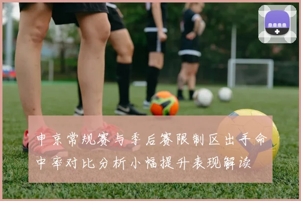 申京常规赛与季后赛限制区出手命中率对比分析小幅提升表现解读